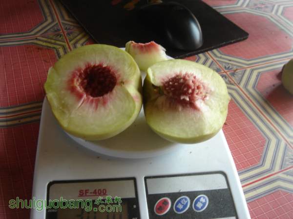 113917nraeianxbenkey1g.jpg