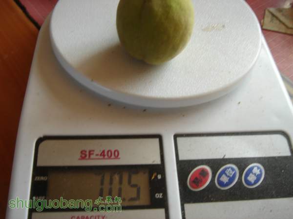 114018t5dxn6d68ned9rdd.jpg
