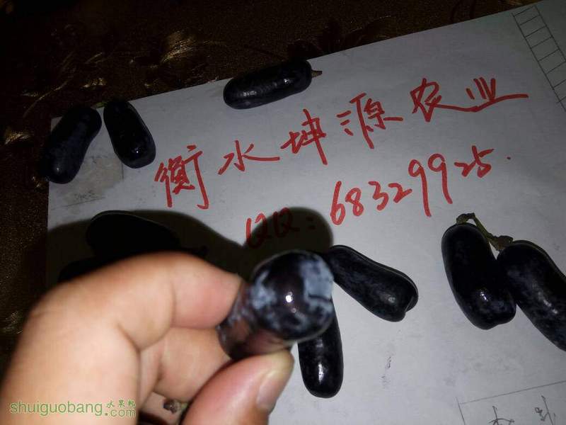 145303dj16x65cmmj2tk9m.jpg