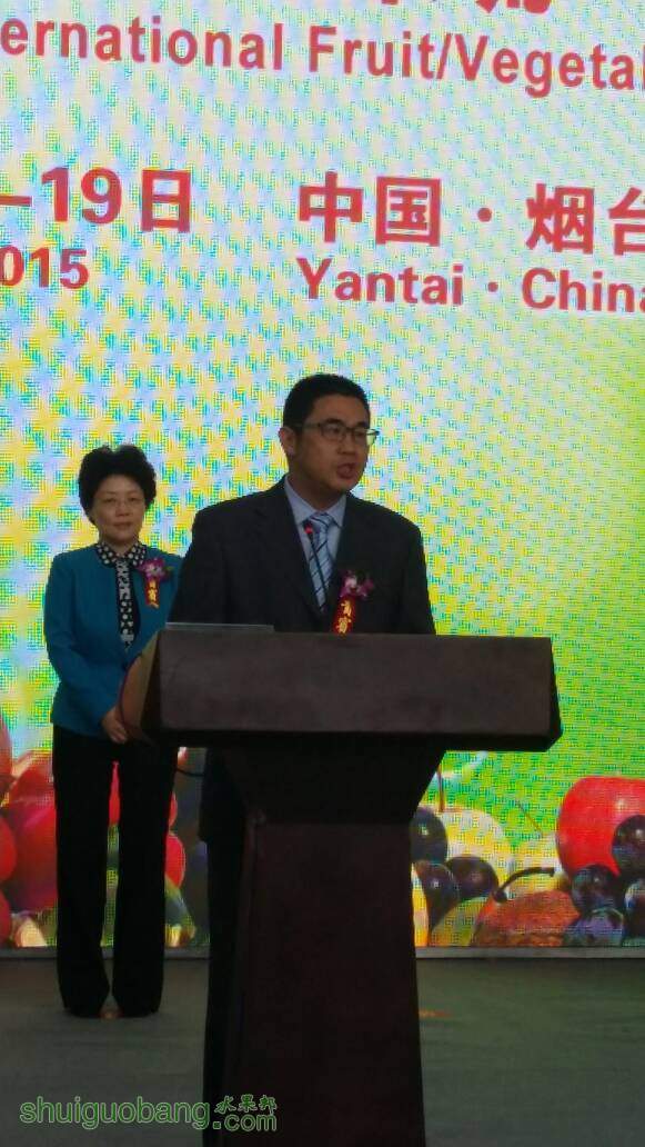 094356bk1k1c4ilit7ilis.jpg