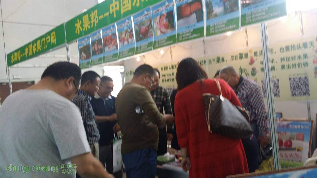 113140ytuxgctx8xng8cau.jpg