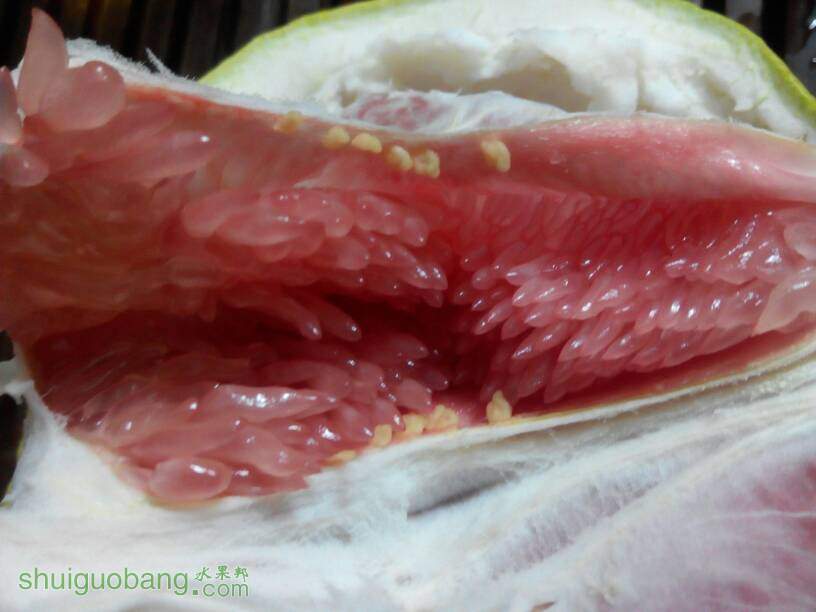 130317agcgezkk1lll1t1f.jpg