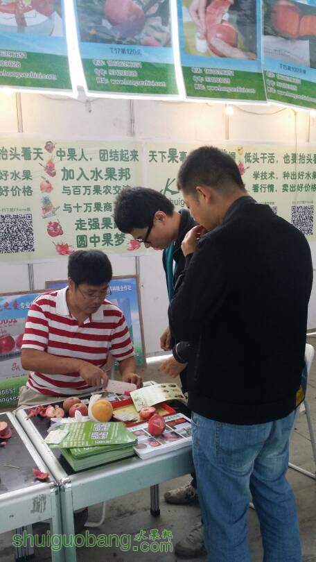 140924u7779apz00p6kmza.jpg
