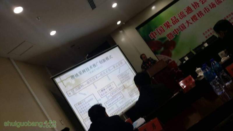 164252yiovcfap55apjo3t.jpg