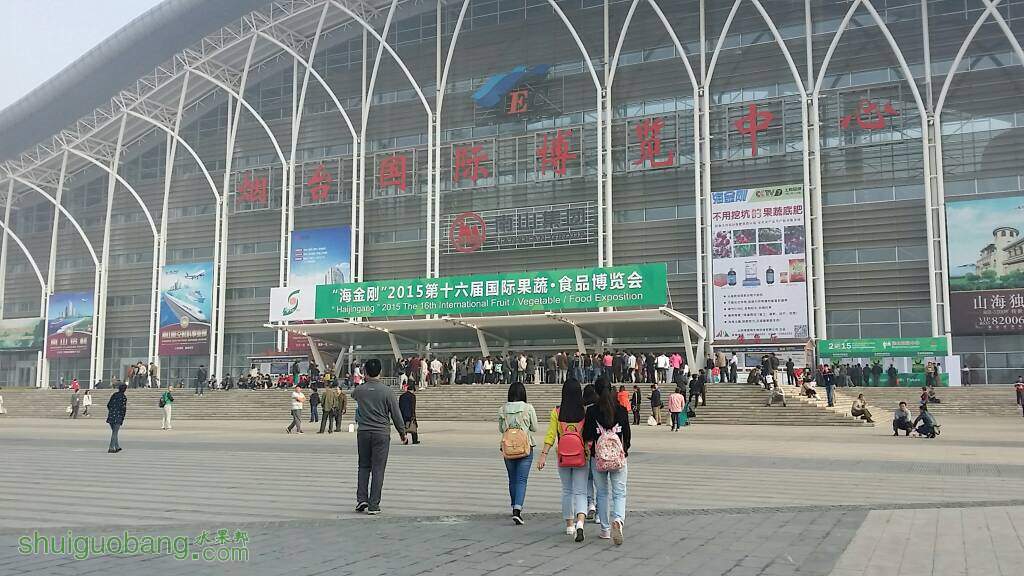 082526b2qei3hn2iusnszx.jpg