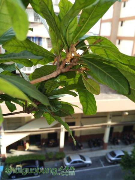 IMG_20151018_160859.jpg