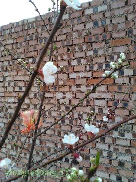 IMG_20150323_165332.jpg