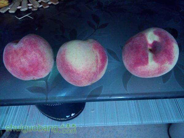 IMG_20151020_102218.jpg