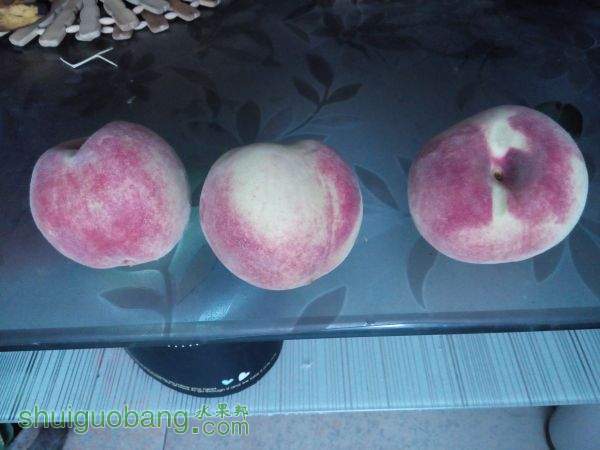 IMG_20151020_102220.jpg
