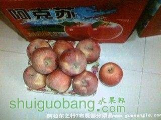 IMG1021142300.jpg