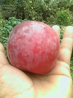 IMG1021144800.jpg