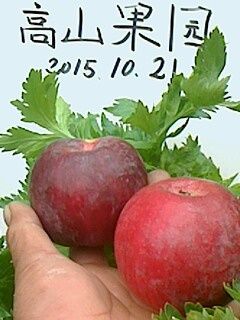 IMG1021145600.jpg