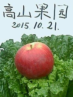 IMG1021150100.jpg