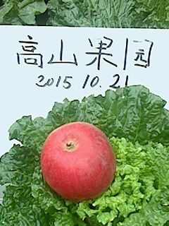 IMG1021150200.jpg