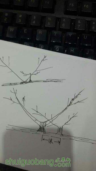 573630213193305980.jpg