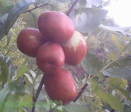 QQͼƬ20140308202242.jpg