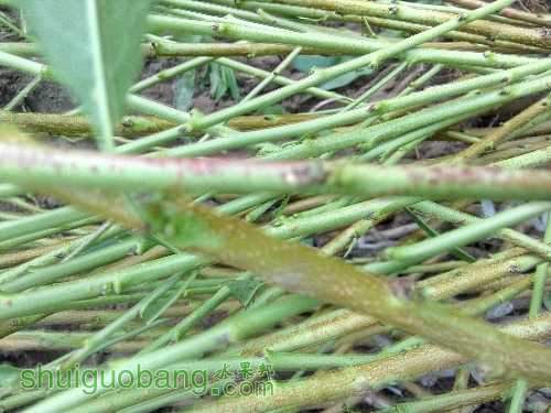 IMG_20151022_084928_HDR.jpg