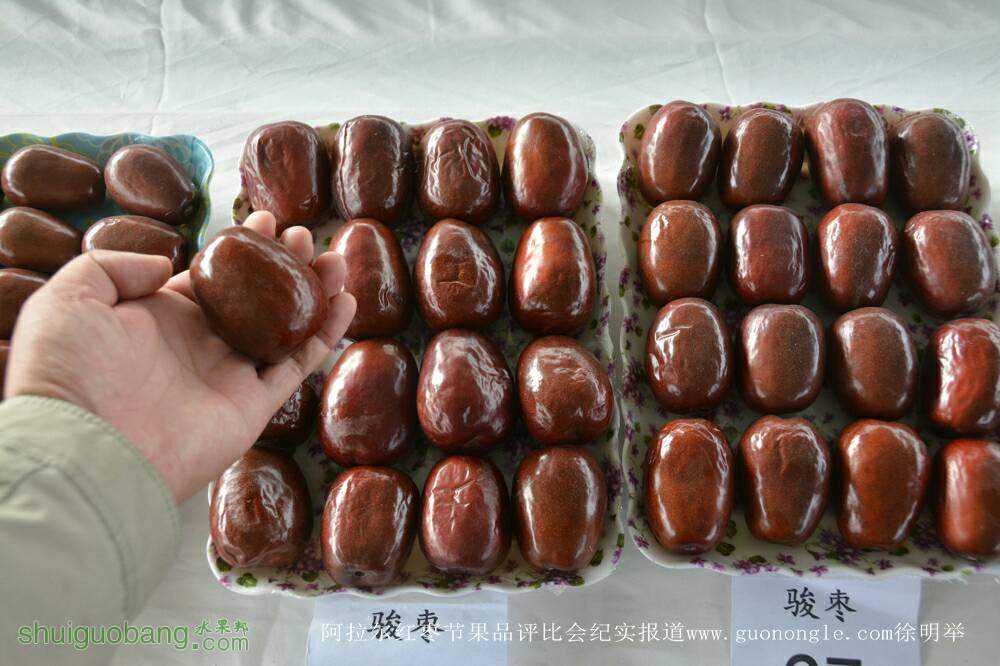 114146lpym203m101yzumb.jpg