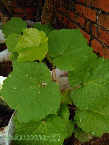 IMG_20151002_091425.jpg