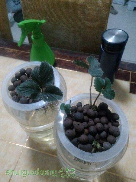 QQͼƬ20151023232235.jpg
