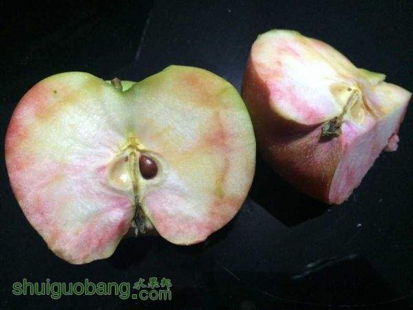 QQͼƬ20151024075641.jpg