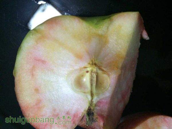 QQͼƬ20151024075611.jpg