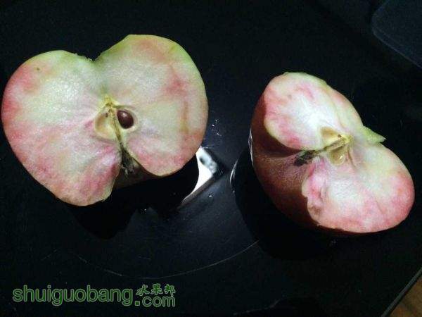 QQͼƬ20151024075620.jpg