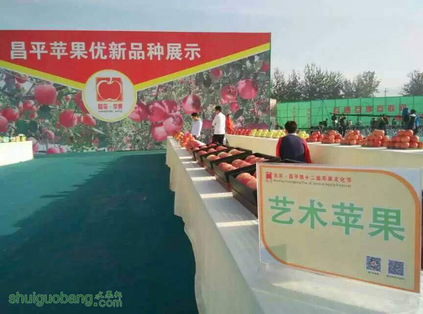 090437oi93fzanj1jpj6vq.jpg