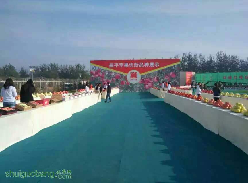090438yfk4zz7zshr9rkzz.jpg