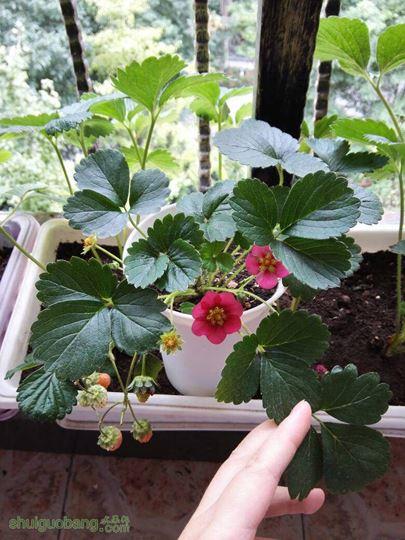 141525qetvmnct0nyemtts.jpg