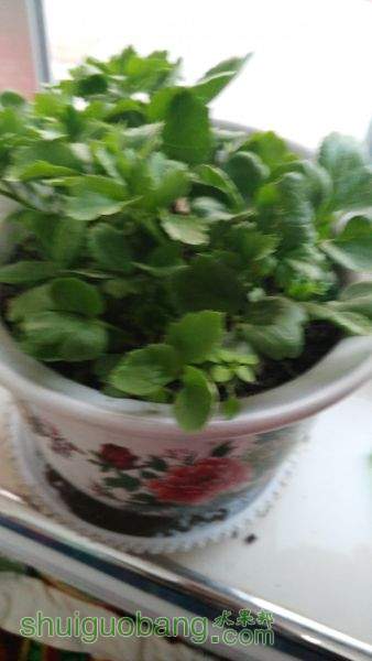 IMG_20151026_170700.jpg