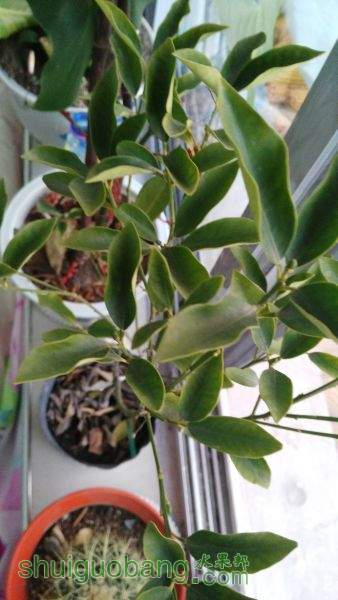 IMG_20151026_170718.jpg