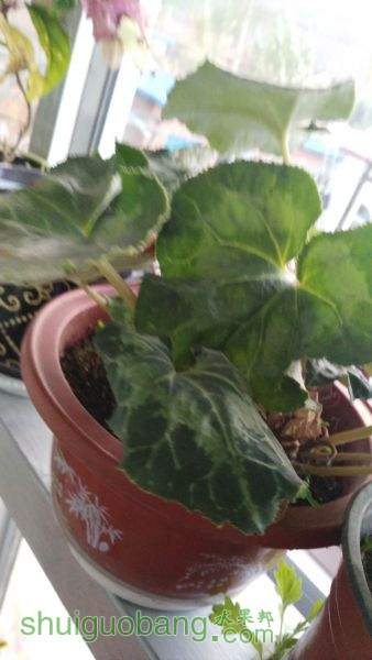 IMG_20151026_170754.jpg