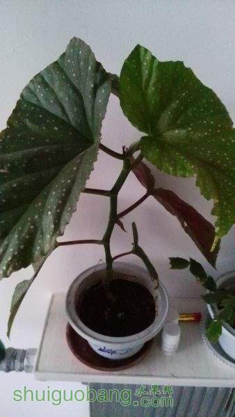 IMG_20151026_171007.jpg