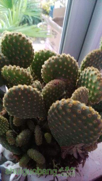 IMG_20151026_171044.jpg