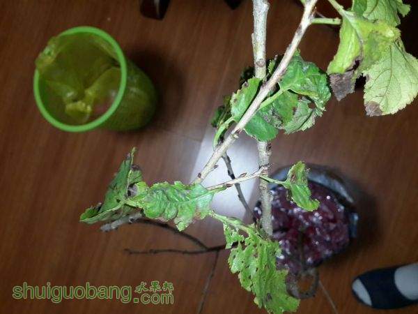 20151026_210844.jpg