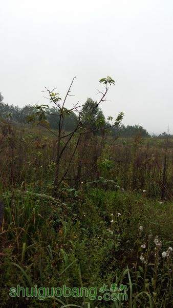 20150930_083752.jpg