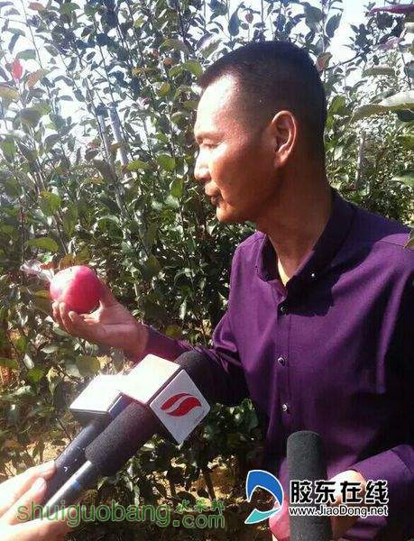 12726742_804395.jpg