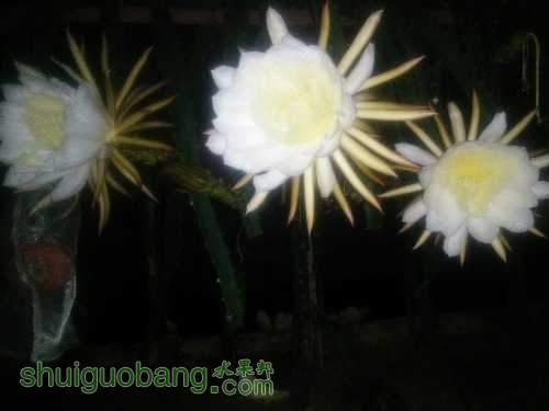 IMG20151028225733.jpg