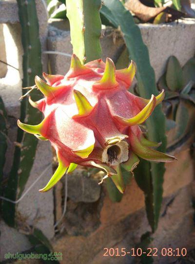 075902awz47z0polcwo73p.jpg