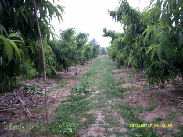 095451agzbgs7gokpl09ig.jpg