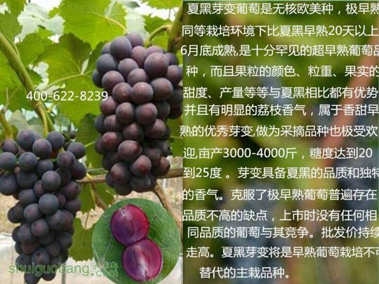 142849yxo5b99o0qoxp17q.jpg