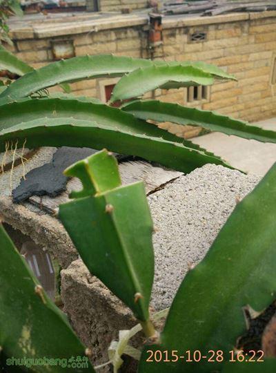 151458piocxddxt7xwtbyb.jpg