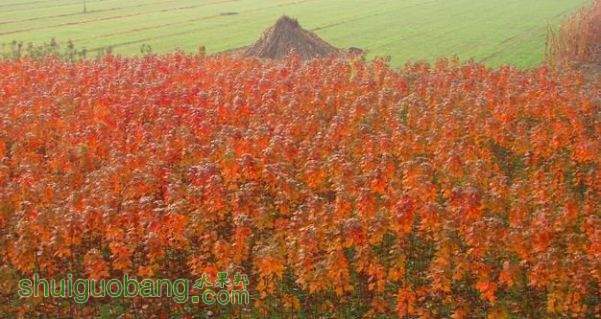 201459u6myzyz6mtmqpcyp.jpg