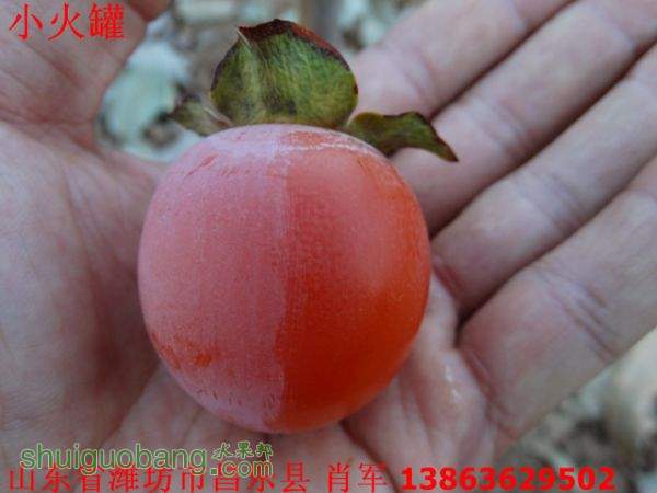 DSC03305.jpg