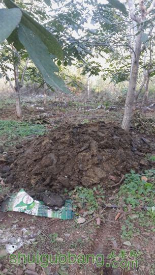 20151003_161830.jpg