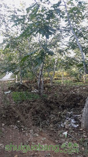 20151003_161757.jpg