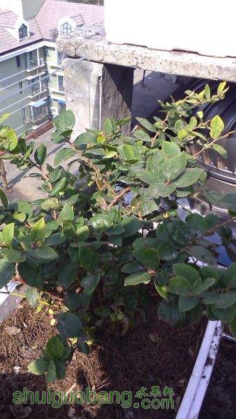 IMG_20151031_110642.jpg