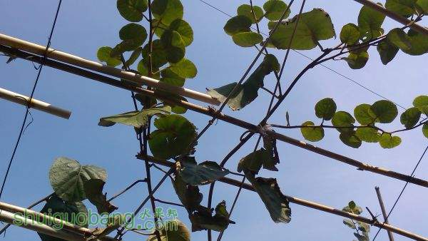 IMG_20151031_111103.jpg