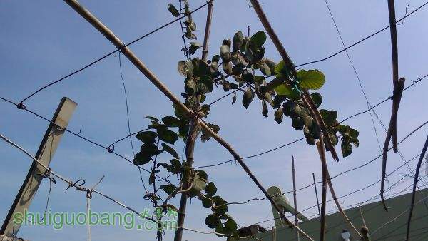 IMG_20151031_111115.jpg